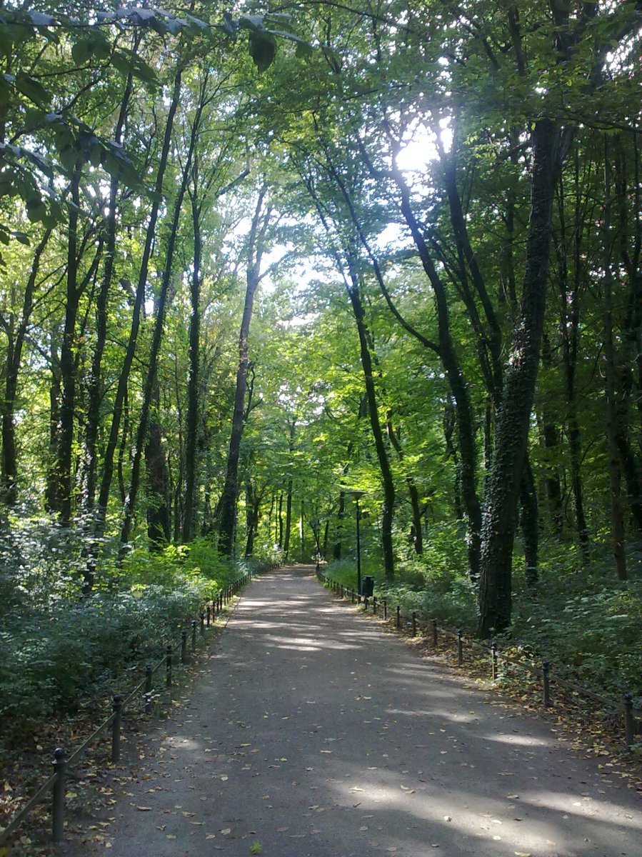 Auf dem zum Gig in Lübben